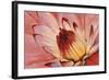 Micro Floral I-Tim OToole-Framed Art Print