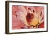 Micro Floral I-Tim OToole-Framed Art Print