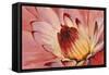 Micro Floral I-Tim OToole-Framed Stretched Canvas