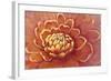 Micro Floral II-Tim OToole-Framed Art Print