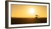 Micro-lighting over the sand dunes of the Namibian Desert, Namibia-Karen Deakin-Framed Photographic Print