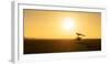 Micro-lighting over the sand dunes of the Namibian Desert, Namibia-Karen Deakin-Framed Photographic Print