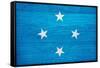 Micronesia Flag Design with Wood Patterning - Flags of the World Series-Philippe Hugonnard-Framed Stretched Canvas