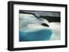 Micronesia, Palau, Ariel View of Rock Islands-Stuart Westmorland-Framed Photographic Print