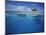 Micronesia, Tonowas, View of Idyllic Tropical Dublon Island-Stuart Westmorland-Mounted Photographic Print