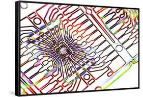 Microprocessor Chip, Artwork-PASIEKA-Framed Stretched Canvas