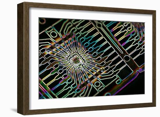 Microprocessor Chip, Artwork-PASIEKA-Framed Photographic Print