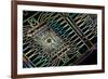 Microprocessor Chip, Artwork-PASIEKA-Framed Photographic Print