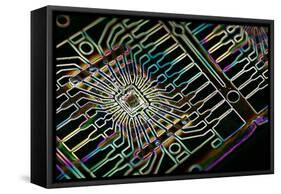 Microprocessor Chip, Artwork-PASIEKA-Framed Stretched Canvas