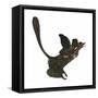 Microraptor, an Extinct Small Flying Dinosaur from the Cretaceous Period-null-Framed Stretched Canvas