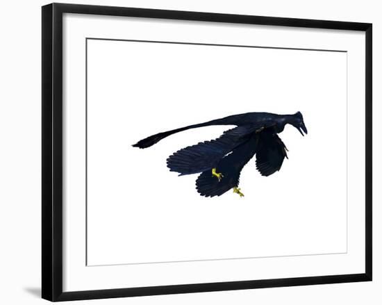 Microraptor Dinosaur-null-Framed Art Print