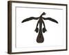 Microraptor Was a Flying Dinosaur That Lived During the Cretaceous Period-null-Framed Art Print