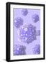 Microscipic View of Pancreatic Cancer Cells-null-Framed Art Print