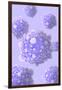 Microscipic View of Pancreatic Cancer Cells-null-Framed Art Print