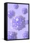 Microscipic View of Pancreatic Cancer Cells-null-Framed Stretched Canvas