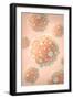 Microscipic View of Pancreatic Cancer Cells-null-Framed Art Print