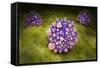 Microscipic View of Pancreatic Cancer Cells-null-Framed Stretched Canvas