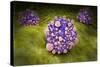 Microscipic View of Pancreatic Cancer Cells-null-Stretched Canvas