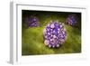 Microscipic View of Pancreatic Cancer Cells-null-Framed Premium Giclee Print