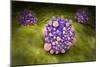 Microscipic View of Pancreatic Cancer Cells-null-Mounted Premium Giclee Print