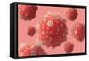 Microscipic View of Pancreatic Cancer Cells-null-Framed Stretched Canvas