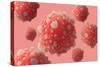 Microscipic View of Pancreatic Cancer Cells-null-Stretched Canvas