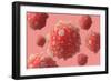 Microscipic View of Pancreatic Cancer Cells-null-Framed Art Print