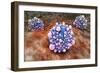 Microscipic View of Pancreatic Cancer Cells-null-Framed Art Print