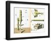 Microscope 1882-null-Framed Art Print