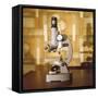 Microscope-null-Framed Stretched Canvas