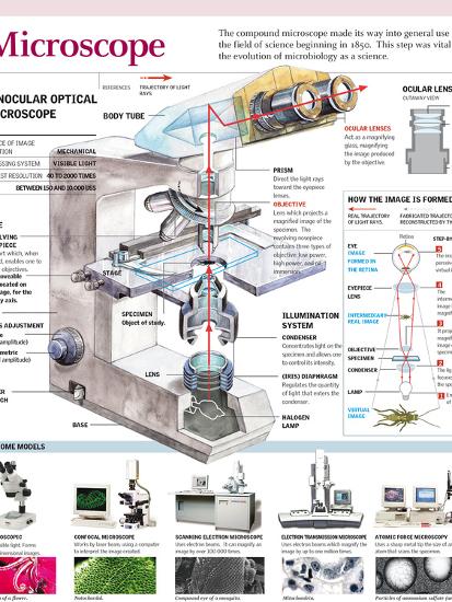 'MICROSCOPE.' Photographic Print | AllPosters.com