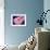 Microscopic Cross Section of a Female Ovary-null-Framed Art Print displayed on a wall