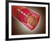 Microscopic Cross Section View of the Small Intestine-null-Framed Art Print