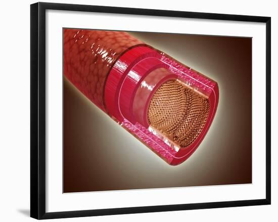 Microscopic Cross Section View of the Small Intestine-null-Framed Art Print