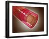 Microscopic Cross Section View of the Small Intestine-null-Framed Art Print