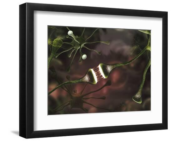 Premium Photographic Print, , large