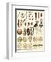 Microscopic Marine Life-Ebenezer Sibly-Framed Art Print