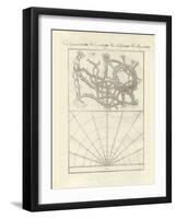 Microscopic Objects-null-Framed Giclee Print