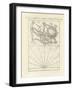 Microscopic Objects-null-Framed Giclee Print