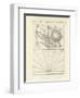 Microscopic Objects-null-Framed Giclee Print