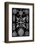 Microscopic Spumellaria-Ernst Haeckel-Framed Art Print