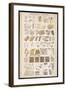 Microscopic Structure of the Texture of Various Parts of the Body-J.s. Cuthbert-Framed Art Print