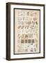 Microscopic Structure of the Texture of Various Parts of the Body-J.s. Cuthbert-Framed Art Print