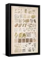 Microscopic Structure of the Texture of Various Parts of the Body-J.s. Cuthbert-Framed Stretched Canvas