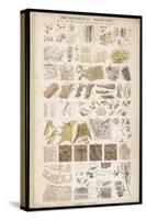 Microscopic Structure of the Texture of Various Parts of the Body-J.s. Cuthbert-Stretched Canvas