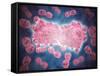 Microscopic View of a Group of Leukemia Cell-null-Framed Stretched Canvas