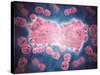 Microscopic View of a Group of Leukemia Cell-null-Stretched Canvas