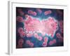 Microscopic View of a Group of Leukemia Cell-null-Framed Art Print