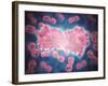 Microscopic View of a Group of Leukemia Cell-null-Framed Art Print