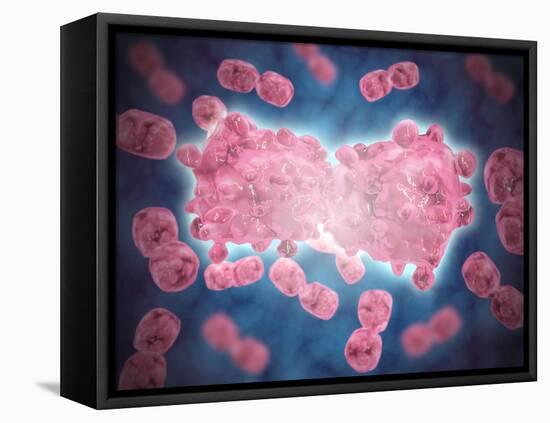 Microscopic View of a Group of Leukemia Cell-null-Framed Stretched Canvas
